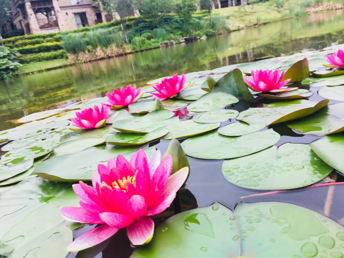 Jz Hotel Emei Эмэйшань Экстерьер фото